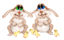 Gif Pasqua