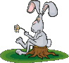 Gif Pasqua