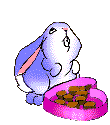 Gif Pasqua
