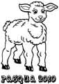 Disegno agnello